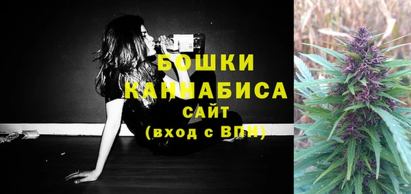 apvp Горно-Алтайск