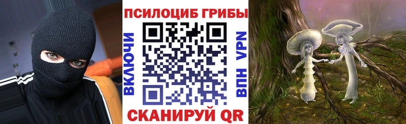 Галлюциногенные грибы GOLDEN TEACHER  Купить  Нововоронеж 
